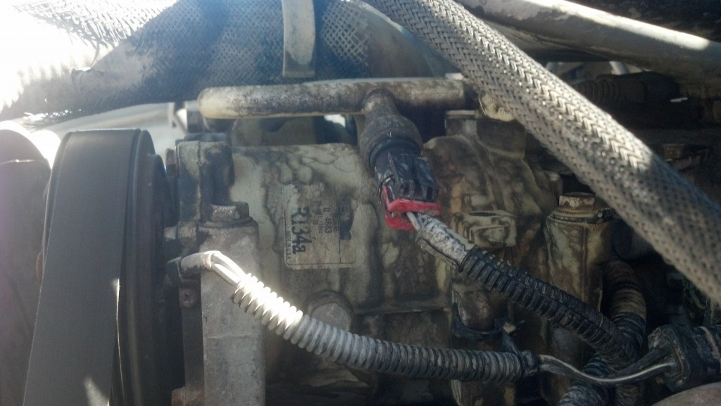 Radiator hose leak